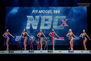 FIT-MODEL 164- 1 раунд